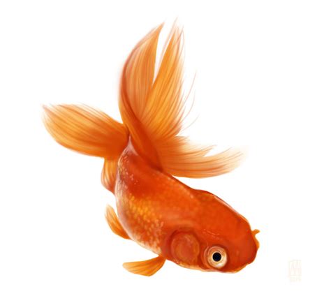 Goldfish - Digital Painting by sapphiresky1410 on DeviantArt