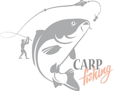 Carp Illustrations, Royalty-Free Vector Graphics & Clip Art - iStock