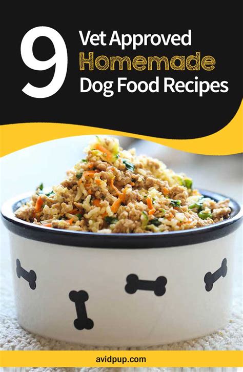 9-Vet-Approved-Homemade-Dog-Food-Recipes-for-a-Thriving-Pup | Avid Pup