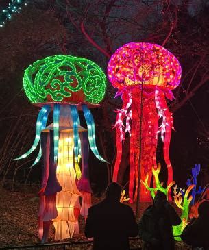 Columbus Zoo | Lantern Festival