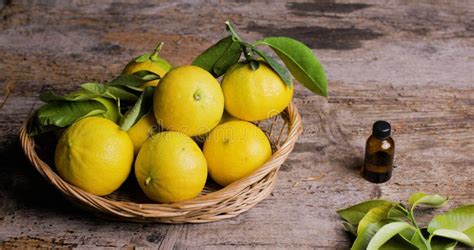 Basket Full of Bergamot Orange Tree on the Table Stock Photo - Image of ...