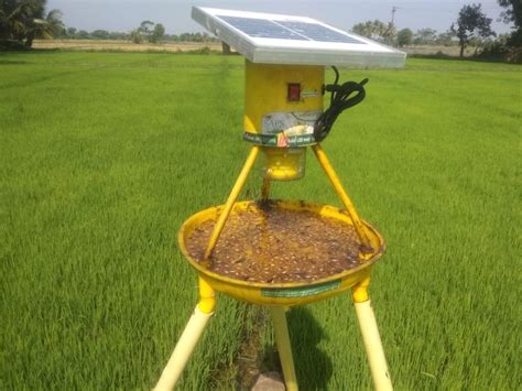 SAFS Plastic Solar LED Insect Light Trap (With Stand) for Agriculture, Packaging Type: Box, | ID ...