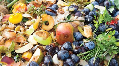 New Climate Agenda: Food Waste | PCC Community Markets