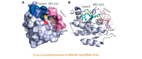 Can KRAS G12C inhibitor be expected more effective in the future?