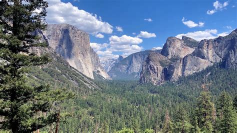 Climate change is slowly killing forests of Yosemite National Park