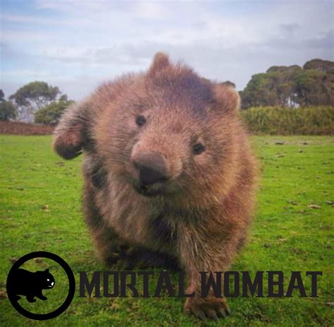 MORTAL WOMBAT : r/MortalKombat