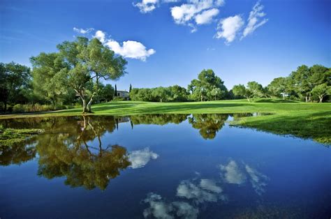 Reubens Lawn Care: Using Organic Lawn Care Service To Maintain Healthy Environment