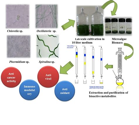 Biotechnological applications of secondary metabolites from Microalgae ...