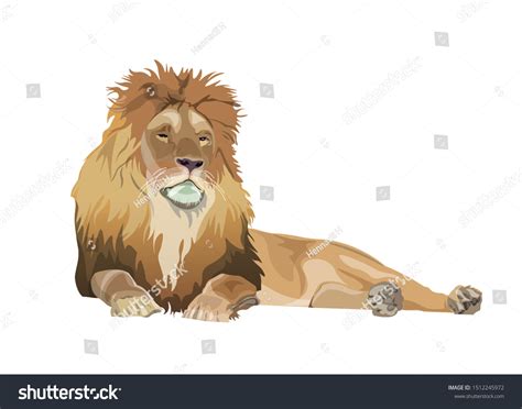 25,719 Lion Sleeping Images, Stock Photos & Vectors | Shutterstock