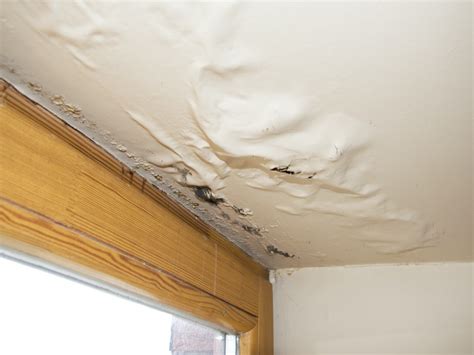 Fix Roof Leaks ASAP: How a Leaking Roof Affects Your Entire Home