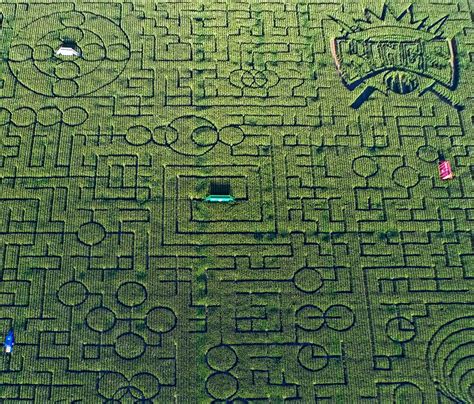 Cool Patch Pumpkins Corn Maze in California 2025 - Rove.me