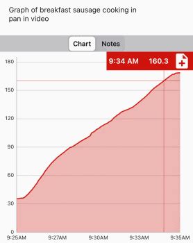 The Temperature of Breakfast Sausage When Done - Thermo Meat