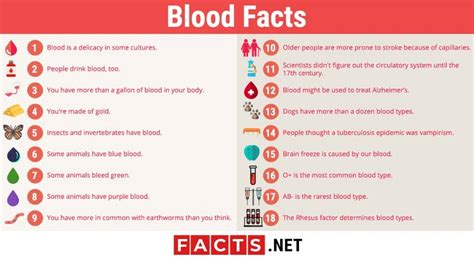 38 Intriguing Blood Facts You Should Know About - Facts.net