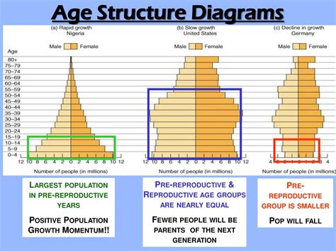 How To Interpret Age Structure Diagrams Solved 2. Population