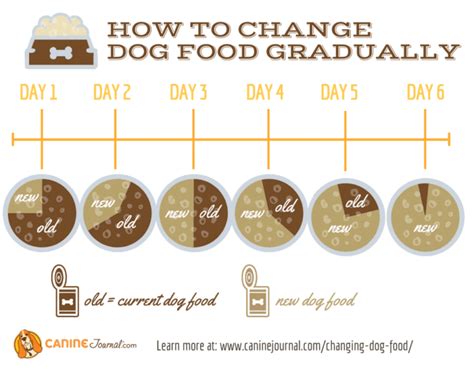 Raw Diet For Dogs: Will It Improve Your Dog’s Health? – CanineJournal.com