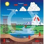 A Water Cycle Diagram Helps to Answer the Question, 'How Does the Water ...