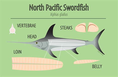 Swordfish Diagram