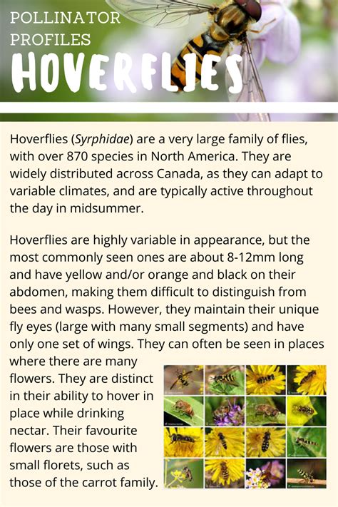 Pollinator Profiles - Youth in Food Systems