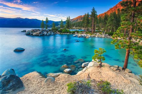 Download Tree Turquoise Lake Nature Lake Tahoe 4k Ultra HD Wallpaper