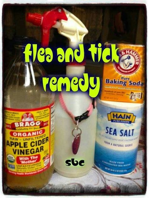 Homemade Flea Spray For Dogs Using Apple Cider Vinegar - Apple Poster