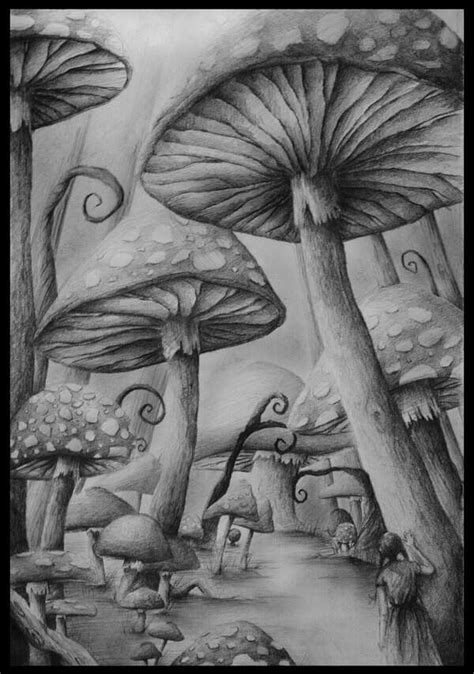 alice in wonderland mushroom drawings - wallpaperiphonex4kdragonball