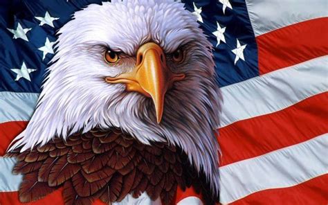 How the American Bald Eagle Became the Nation’s Emblem