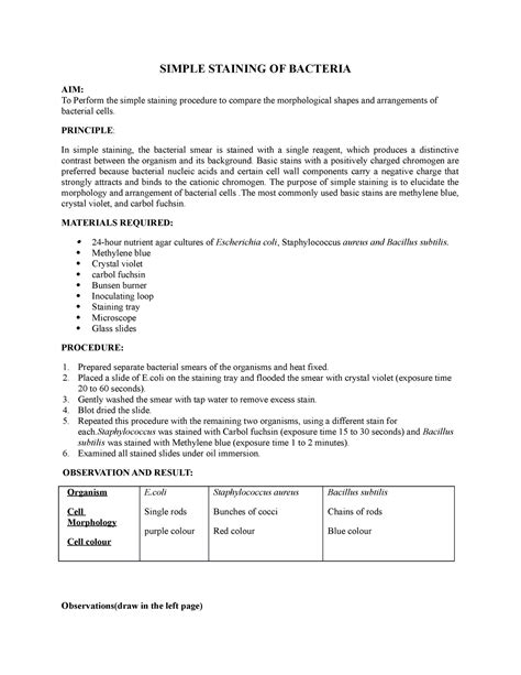 Simple Staining OF Bacteria-1 - SIMPLE STAINING OF BACTERIA AIM: To ...