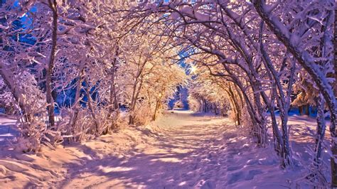 Lights Snow Wallpapers - Top Free Lights Snow Backgrounds - WallpaperAccess