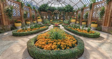 This Week at Phipps: Oct. 14 – 20 | Phipps Conservatory and Botanical ...