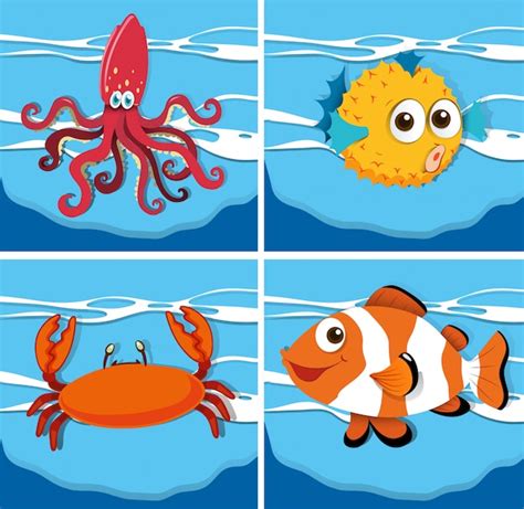 Sea animals collection Vector | Free Download