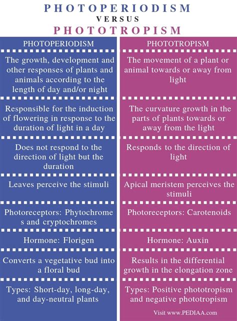 What is the Difference Between Photoperiodism and Phototropism - Pediaa.Com