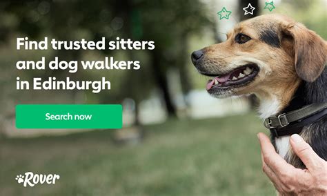 Your Guide to Dog-Friendly Edinburgh | The Dog People by Rover.com