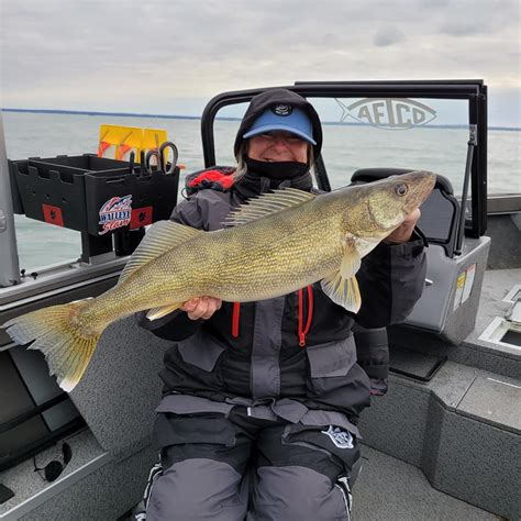 11-14-22 Lake Erie Walleye Fishing Report – Fishing Addiction Gear