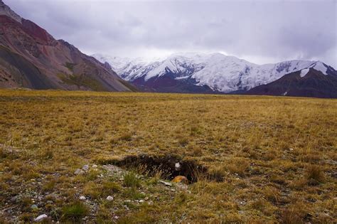 Lenin Peak Base Camp Trek: With Yurts, Mountains and Marmots — The Gone ...