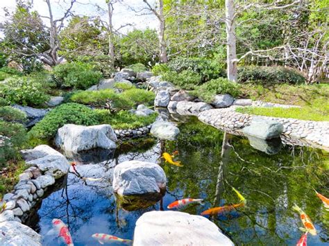 Balboa Park Gardens in San Diego: Why You Must Visit! - Roadtripping California