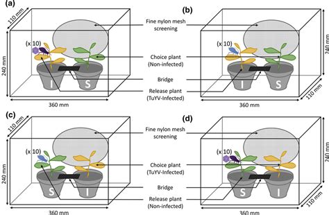 Bioassay set-up used to test aphid emigration and settlement on... | Download Scientific Diagram