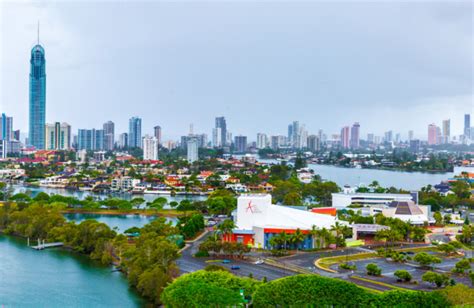 Tree Services Bundall, Gold Coast, Queensland and Arborists Bundall | Tree Essence