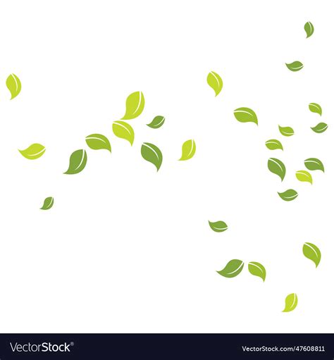 Leaves fall background template Royalty Free Vector Image