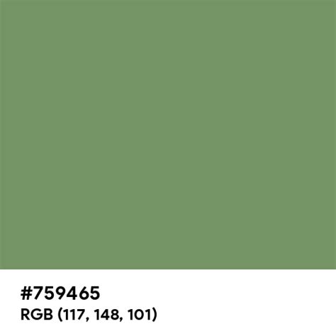 Jade Green color hex code is #759465