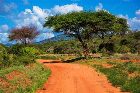 Savanna landscape in Kenya, Africa | High-Quality Nature Stock Photos ~ Creative Market