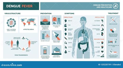 Dengue fever infographic stock vector. Illustration of epidemic - 125220739