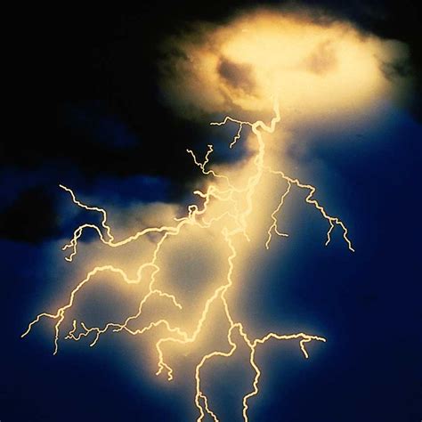 Zambia : Lightening kills 25 cows in Kalabo District