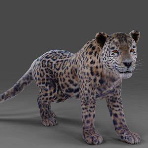 Animal Blender 3D Models for Download | TurboSquid