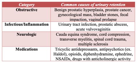 emDOCs.net – Emergency Medicine EducationEM Cases: Priapism and Urinary ...