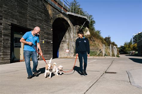 Battersea Dogs & Cats Home achieve prestigious volunteering status for second time