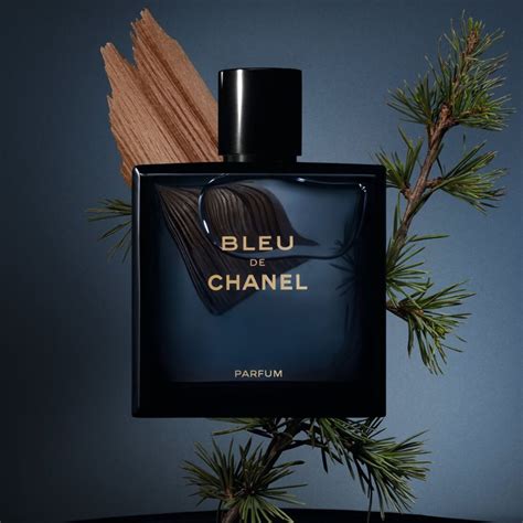Chanel Bleu De Chanel Parfum Pour Homme Eau De Perfume For Men 100ml - Branded Fragrance India