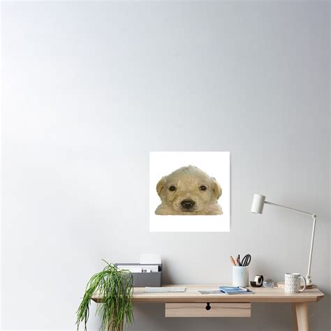 "Jotchua Dog | Funny Meme" Poster by memeology69 | Redbubble