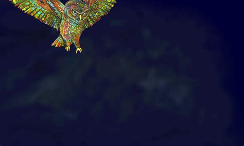 Owl Swooping Infinitely, Art GIF by Gwenn Seemel