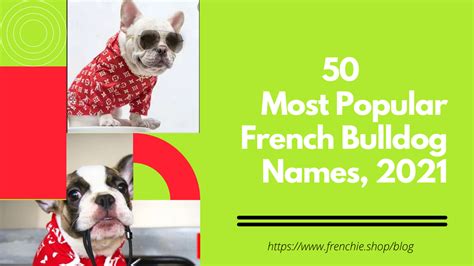 50 Most Popular French Bulldog Names – frenchie Shop