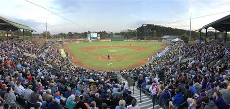 Myrtle Beach Pelicans | Visit Myrtle Beach